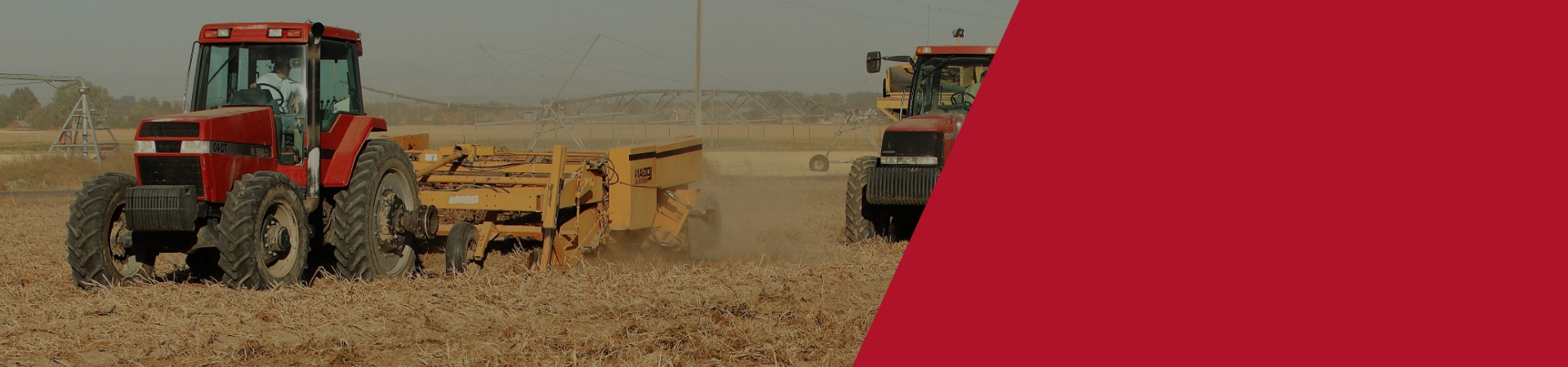 EXP Model in Focus Case IH