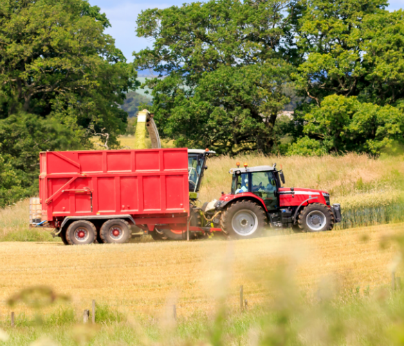 Massey Ferguson tractor towing a trailer in the a field